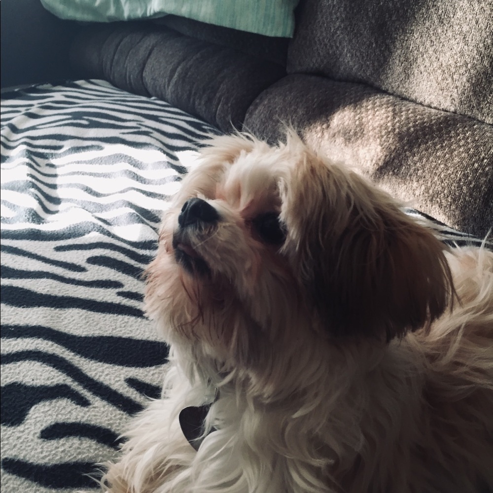 Meet your Posher, Michael